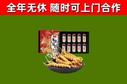新宁县回收冬虫夏草价格