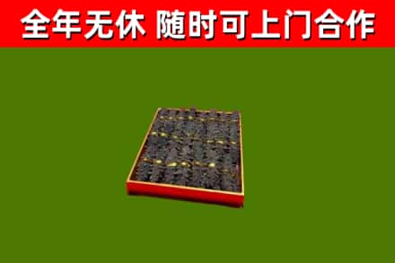 新宁县回收海参